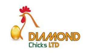 Diamond Our Global Clients